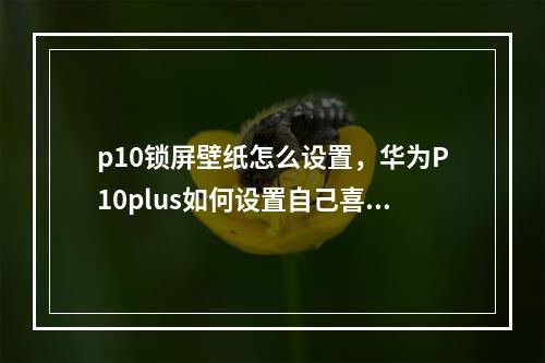 p10锁屏壁纸怎么设置,华为P10plus如何设置自己喜欢的锁屏图片「华为p10plus怎么更换锁屏壁纸」