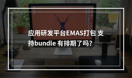 应用研发平台EMAS打包 支持bundle 有排期了吗?