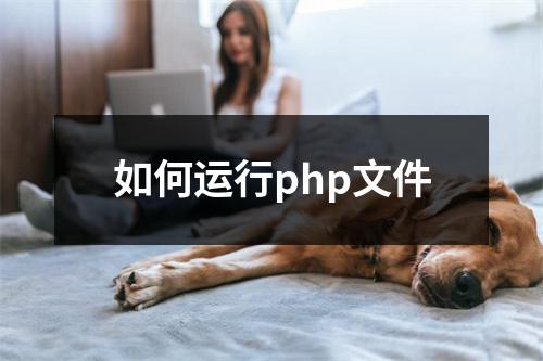 如何运行php文件