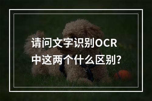 请问文字识别OCR中这两个什么区别?