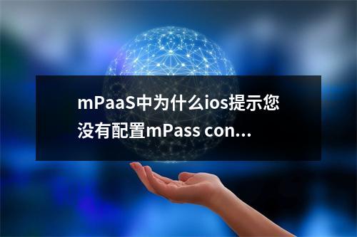 mPaaS中为什么ios提示您没有配置mPass config文件?