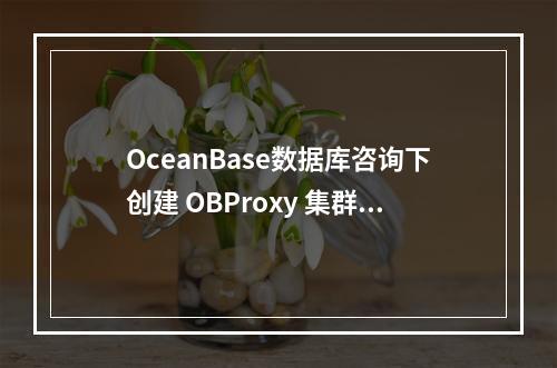 OceanBase数据库咨询下创建 OBProxy 集群无法对接OceanBase 集群什么原因?