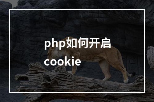 php如何开启cookie