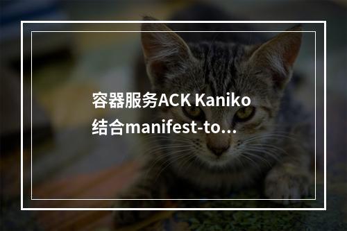 容器服务ACK Kaniko 结合manifest-tools 在jenkins helm 配置过吗