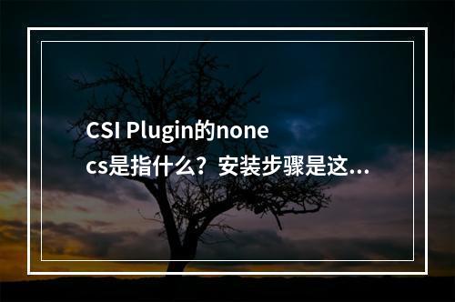 CSI Plugin的nonecs是指什么?安装步骤是这四个yaml都执行完就可以吗?