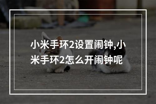 小米手环2设置闹钟,小米手环2怎么开闹钟呢