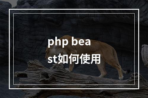 php beast如何使用