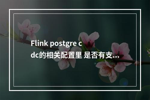 Flink postgre cdc的相关配置里 是否有支持获取这个操作的标识符?