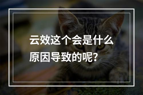 云效这个会是什么原因导致的呢?