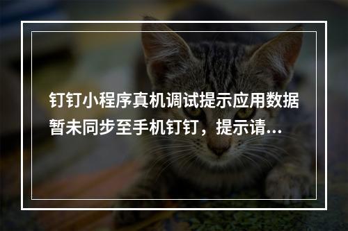 钉钉小程序真机调试提示应用数据暂未同步至手机钉钉,提示请稍后再试?