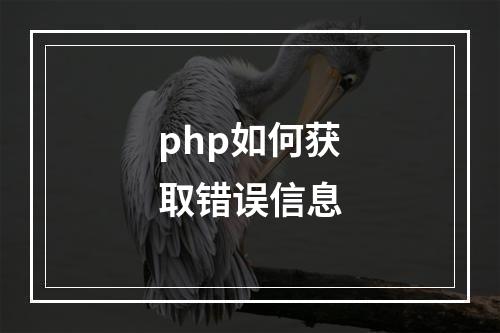 php如何获取错误信息