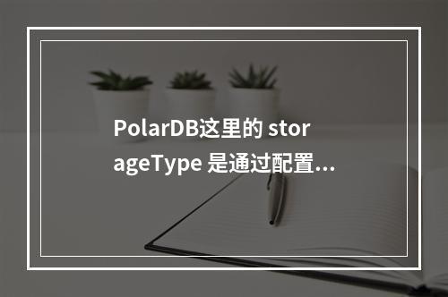PolarDB这里的 storageType 是通过配置文件参数定义的吗?