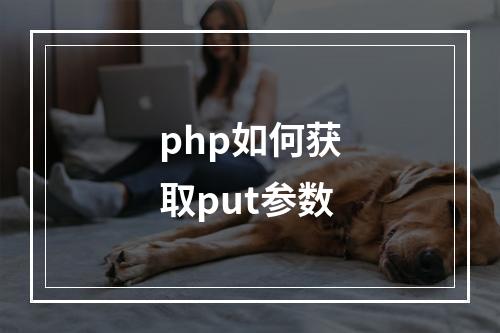 php如何获取put参数