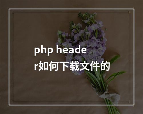 php header如何下载文件的