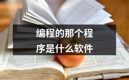 编程的那个程序是什么软件