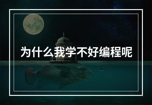 为什么我学不好编程呢