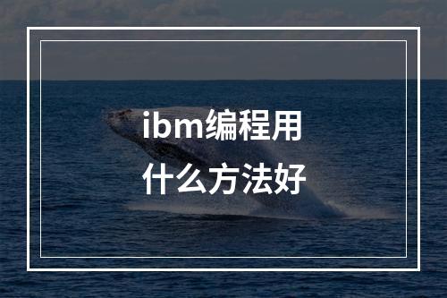 ibm编程用什么方法好