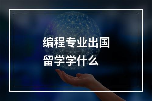 编程专业出国留学学什么