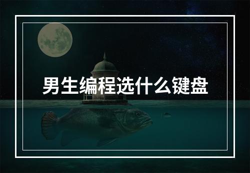 男生编程选什么键盘