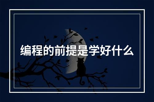 编程的前提是学好什么