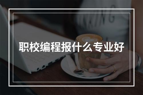 职校编程报什么专业好