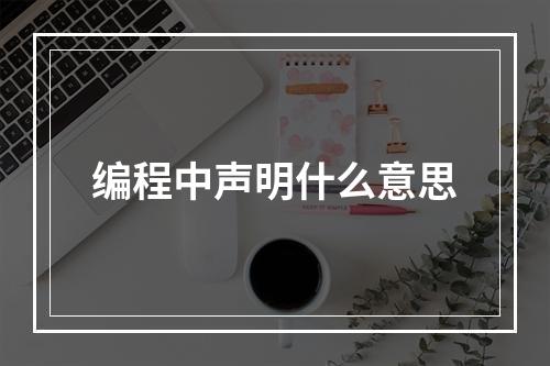 编程中声明什么意思