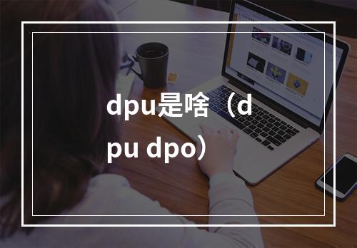 dpu是啥(dpu dpo)