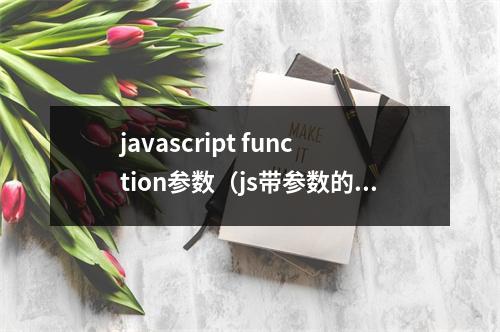 javascript function参数(js带参数的函数定义)