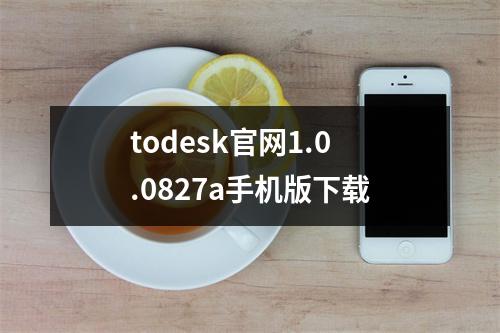 todesk官网1.0.0827a手机版下载