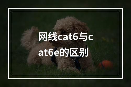 网线cat6与cat6e的区别