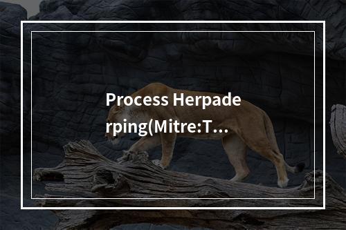 Process Herpaderping(Mitre:T1055))