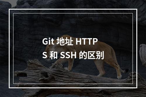 Git 地址 HTTPS 和 SSH 的区别