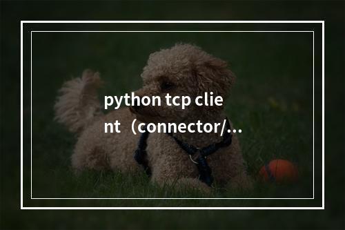 python tcp client(connector/python)