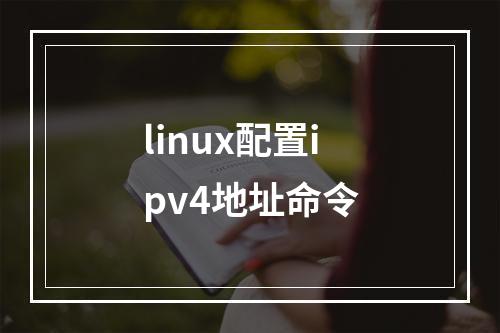 linux配置ipv4地址命令