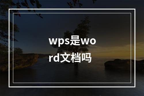 wps是word文档吗