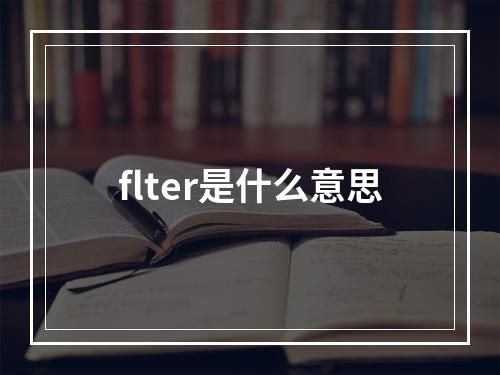 flter是什么意思
