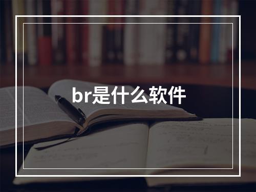 br是什么软件