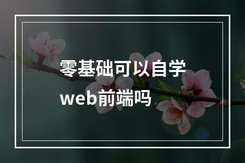 零基础可以自学web前端吗