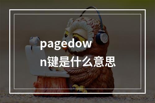 pagedown键是什么意思