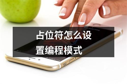 占位符怎么设置编程模式