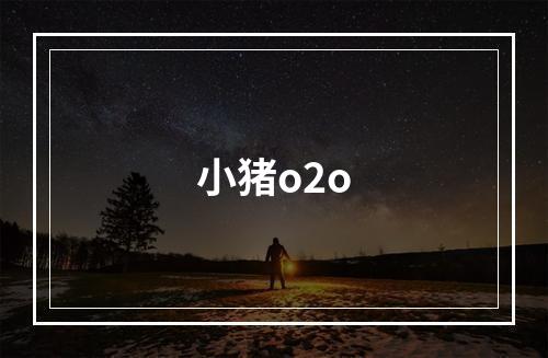 小猪o2o