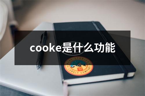 cooke是什么功能