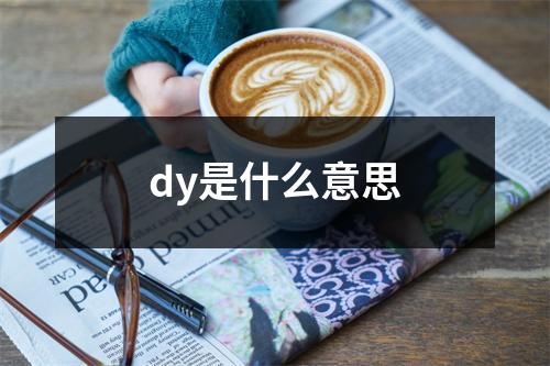 dy是什么意思