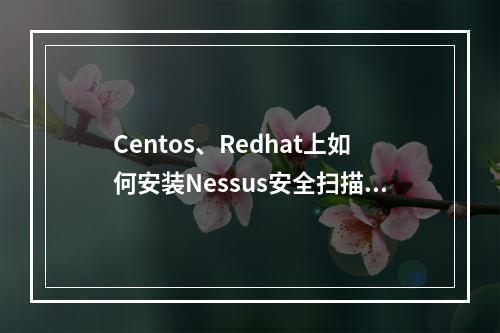 Centos、Redhat上如何安装Nessus安全扫描软件