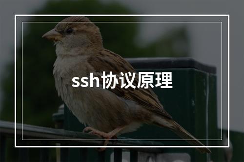 ssh协议原理