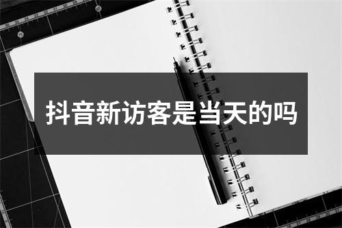 抖音新访客是当天的吗