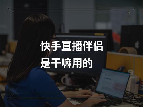 快手直播伴侣是干嘛用的