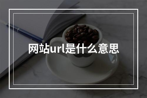 网站url是什么意思