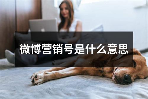 微博营销号是什么意思