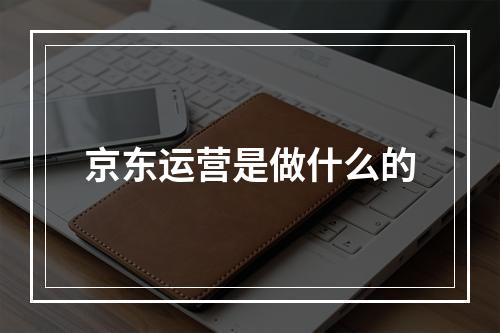 京东运营是做什么的